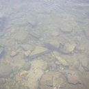 고탄교아래 이미지