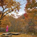 홈당골펜션 이미지