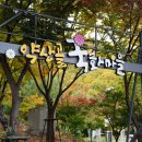 죽곡1어린이공원 네이버블로그