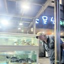 [경남사천] 삼천포횟집거리 소문난자연산횟집 솔직후기 호주살던 국제커플의 경차로 전국일주 사천여행...