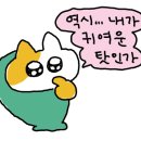 루피의보물섬 이미지