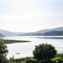 두물머리 이미지