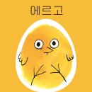 에르고숨