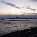 서해에서아침을 이미지