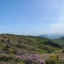 황매산군립공원 이미지