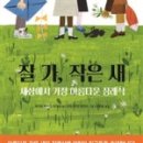 하늘나는작은새 이미지
