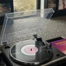 오션이니스프리 | 내돈내산 제주 한림 오션뷰 LP바 카페 가볼만한곳 '바이닐 제주', '오설록 티 뮤지엄' 주차 포토존 정보