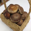 다올농장 이미지