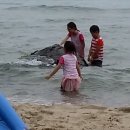 두리펜션 이미지