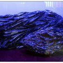 화진포해양박물관 이미지