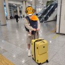 [캐리어] 럭키플래닛 블랙프라이데이 - 제니아캐리어, 트래블 백팩 후기