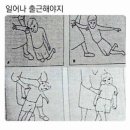 하얀코끼리LED