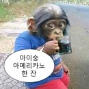 밥스토랑 속초교동점 이미지