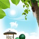 구레울체험마을 이미지