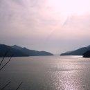 영산포홍어거리 이미지