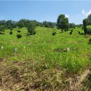 완산-138 이미지