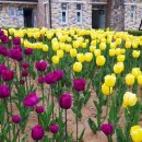 원신근린공원 이미지