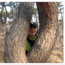 2011년 신묘년 설날에~~ 이미지