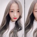 진솔헤어
