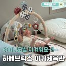 가야체육관 | 3개월 4개월 5개월 아기 대근육 발달 국민장난감 하베브릭스 아기체육관 솔직 후기