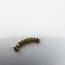 개암농장 이미지