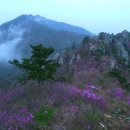 땅끝 남도의 향기 이미지