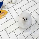 제일미용원
