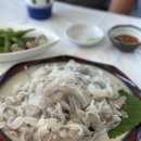 일미횟집 | 제주도민 최애 세꼬시 횟집, 구좌읍 일미도 후기