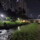 수원팔색길 도란길 | 원천천 수변 산책로 운동코스; 신동수변공원~광교가족캠핑장 왕복 10km 수원팔색길(도란길)