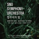 밤나무곡 | &#39;SNU SYMPHONY ORCHESTRA 협주곡의 밤&#39; [감상/후기]