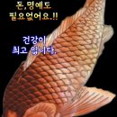 치매와 물 이미지