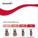 만안구청-13 이미지