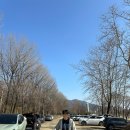 [로티홈시스 캠핑기어 카트] 캠핑 &amp; 피크닉 필수품 캠핑 접이식 카트 후기!