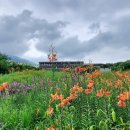 우림부동산중개 이미지