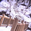 삼옥 Daum카페