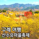 양지마을 1길 | 2026 구례 산수유축제 일정 실시간 개화시기 3월 방문 찐후기