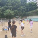 소일초 이미지