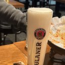 일진쉐르빌 | 12월 요약, 29살아 와라~