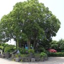 역사를 잊은 민족에게 미래는 없다 이미지