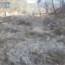 강현면사무소 이미지