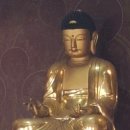 진주 연화사 목조 아미타여래좌상 이미지