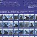 큰돌고래 화장실 네이버블로그