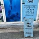 PADI 창원 부산 스쿠버다이빙 스킨스쿠버 “마린 버블 다이브”