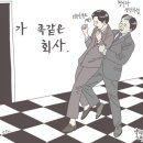 비마이디 이미지