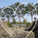 광교역사 | - 사슴히의 나들이 : 수원 광교 역사공원 후기 (수원 꽃놀이하기 좋은곳, 꽃 실시간개화 , 매화꽃사진...