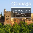 트립포미 이미지