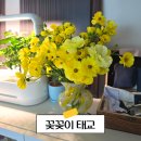 어니스트플라워 추천인 초대코드ː 별튤립8496｜내돈내산 태교 꽃꽂이 배송