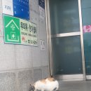 노송동 주민센터 이미지