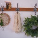 낭만물고기 이미지