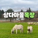 하이목장 - 안양시 만안구 양화로136번길 10 | 하이목장